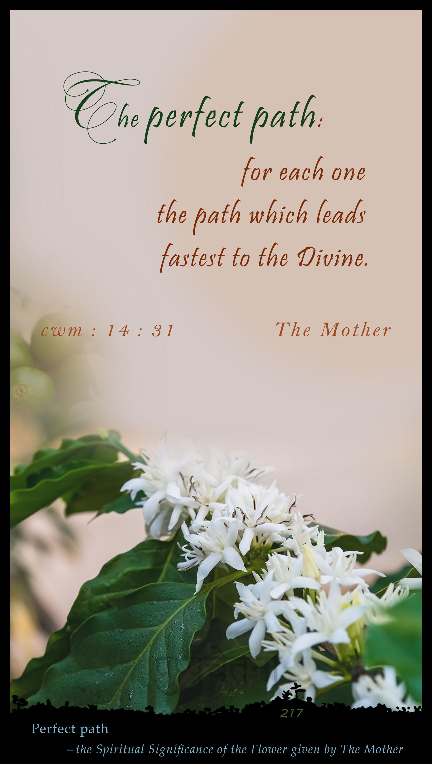 Perfect Path